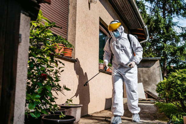 Pest Prevention Services in Sahuarita, AZ