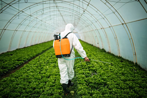 Pest Control Cost in Sahuarita, AZ