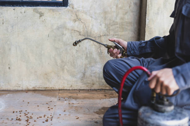 Best Pest Control Near Me  in Sahuarita, AZ